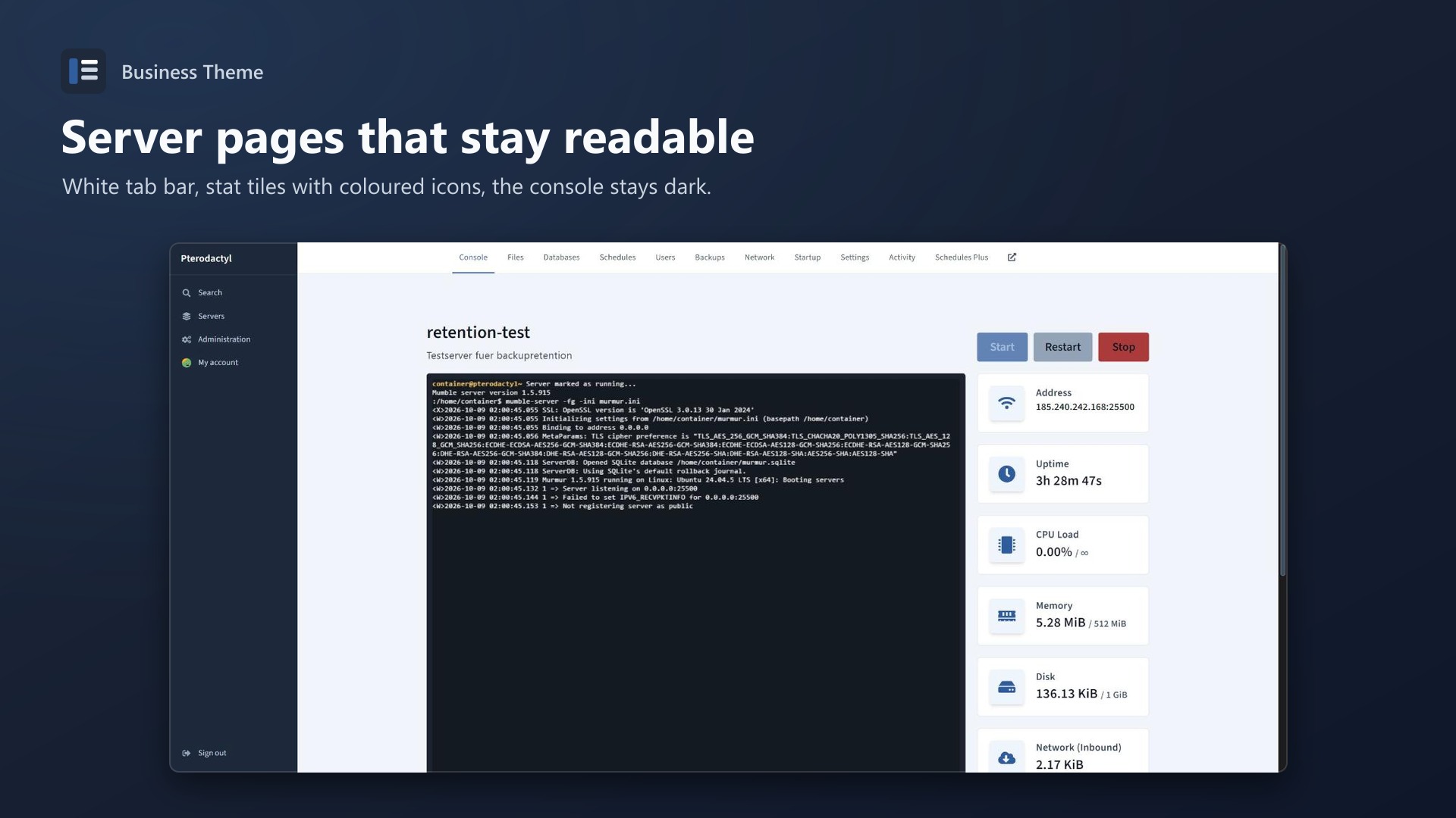 Business Theme: Console